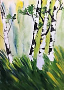 "Берёзы". Кулик Марианна, 8 лет. г.Вельск