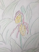 "Венерин башмачок". Жигарева София, 14 лет. Калужская обл., г.Балабаново
